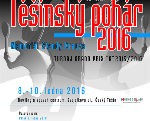 Těšínský pohár 2016